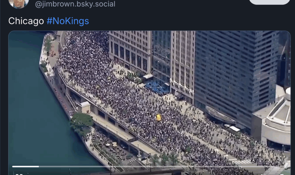 screenshot of truly fucking enormous crowd along a huge length of chicago lakeshore drive